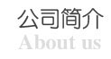 公司简介
